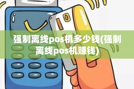 强制离线pos机多少钱(强制离线pos机赚钱)