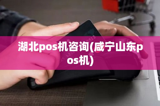 湖北pos机咨询(咸宁山东pos机) 湖北pos机咨询(咸宁山东pos机)