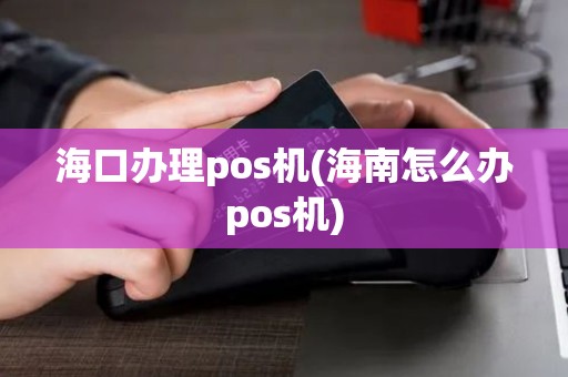 海口办理pos机(海南怎么办pos机) 海口办理pos机(海南怎么办pos机)
