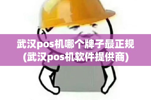 武汉pos机哪个牌子最正规(武汉pos机软件提供商) 武汉pos机哪个牌子最正规(武汉pos机软件提供商)