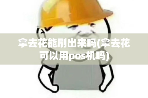 拿去花能刷出来吗(拿去花可以用pos机吗) 拿去花能刷出来吗(拿去花可以用pos机吗)