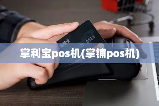 掌利宝pos机(掌铺pos机) 掌利宝pos机(掌铺pos机)