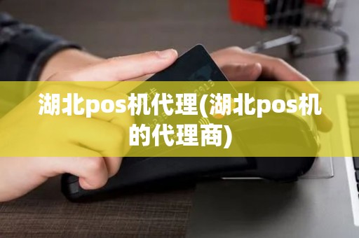 湖北pos机代理(湖北pos机的代理商)
