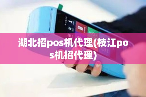 湖北招pos机代理(枝江pos机招代理)