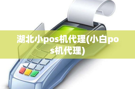 湖北小pos机代理(小白pos机代理)