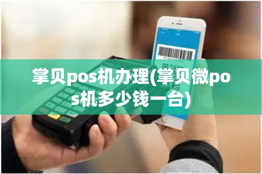 掌贝pos机办理(掌贝微pos机多少钱一台)