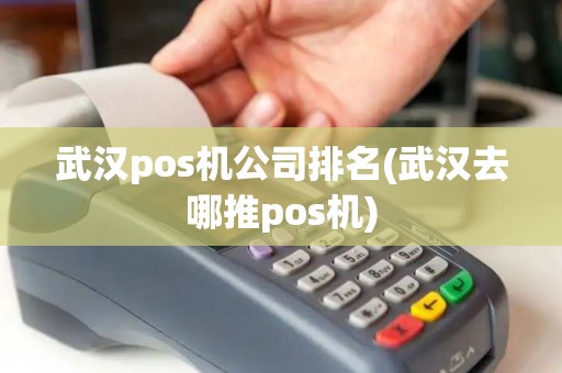 武汉pos机公司排名(武汉去哪推pos机)