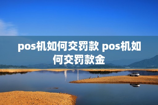 pos机如何交罚款 pos机如何交罚款金