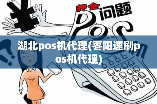 湖北pos机代理(枣阳速刷pos机代理)