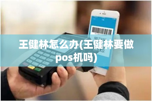 王健林怎么办(王健林要做pos机吗)