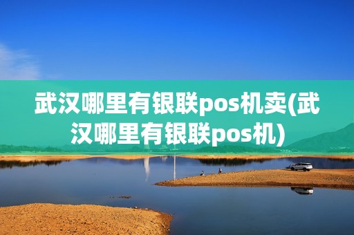 武汉哪里有银联pos机卖(武汉哪里有银联pos机)