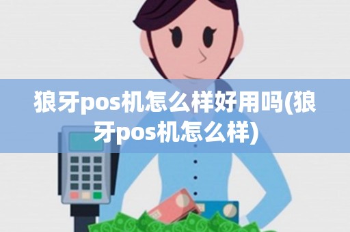 狼牙pos机怎么样好用吗(狼牙pos机怎么样)