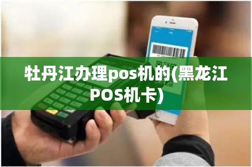 牡丹江办理pos机的(黑龙江POS机卡)