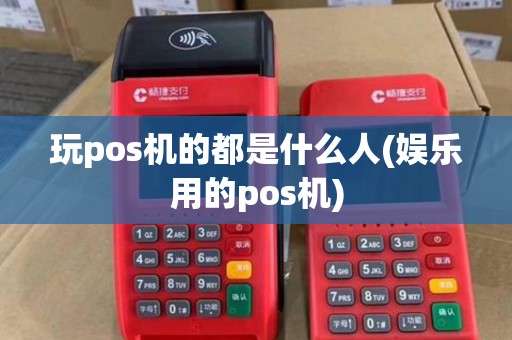 玩pos机的都是什么人(娱乐用的pos机)