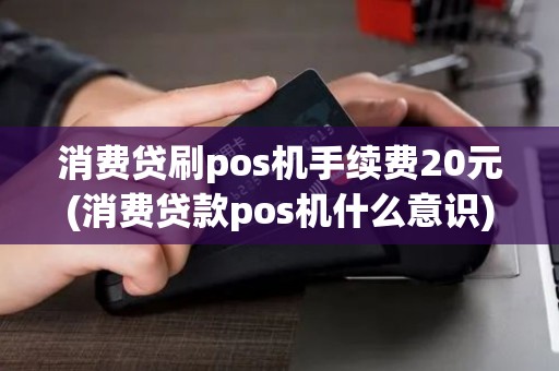 消费贷刷pos机手续费20元(消费贷款pos机什么意识) 消费贷刷pos机手续费20元(消费贷款pos机什么意识)