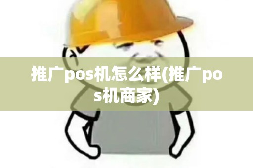 推广pos机怎么样(推广pos机商家)