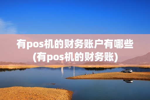 有pos机的财务账户有哪些(有pos机的财务账)