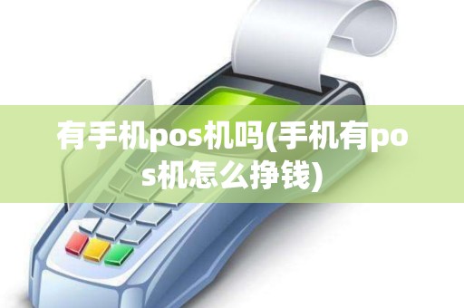 有手机pos机吗(手机有pos机怎么挣钱)
