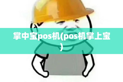掌中宝pos机(pos机掌上宝)