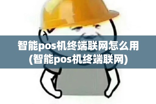 智能pos机终端联网怎么用(智能pos机终端联网) 智能pos机终端联网怎么用(智能pos机终端联网)