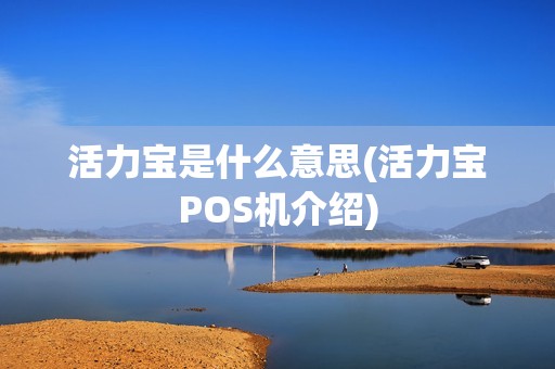 活力宝是什么意思(活力宝POS机介绍)