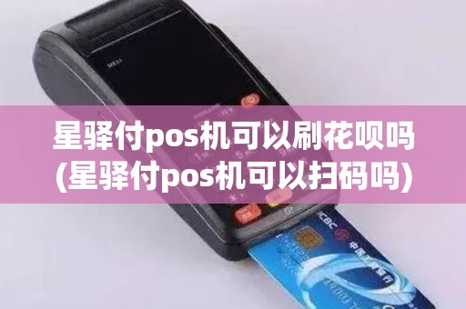 星驿付pos机可以刷花呗吗(星驿付pos机可以扫码吗)