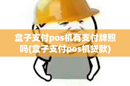 盒子支付pos机有支付牌照吗(盒子支付pos机贷款)