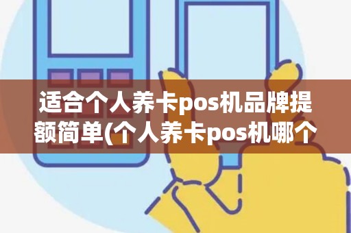 适合个人养卡pos机品牌提额简单(个人养卡pos机哪个好用)