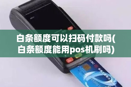 白条额度可以扫码付款吗(白条额度能用pos机刷吗)