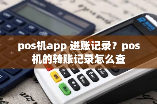 pos机app 进账记录？pos机的转账记录怎么查