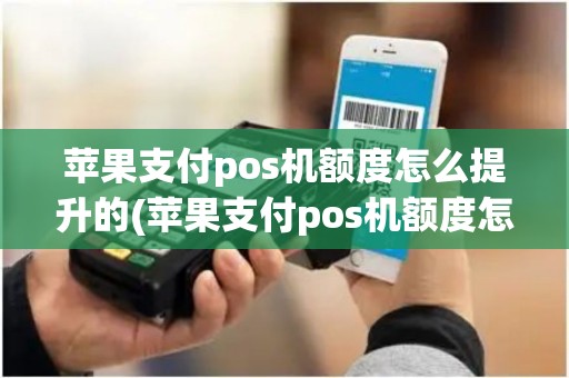 苹果支付pos机额度怎么提升的(苹果支付pos机额度怎么提升) 苹果支付pos机额度怎么提升的(苹果支付pos机额度怎么提升)