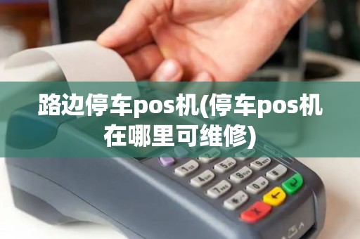 路边停车pos机(停车pos机在哪里可维修)