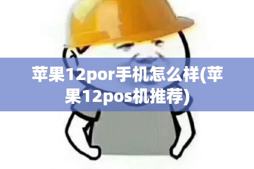 苹果12por手机怎么样(苹果12pos机推荐)