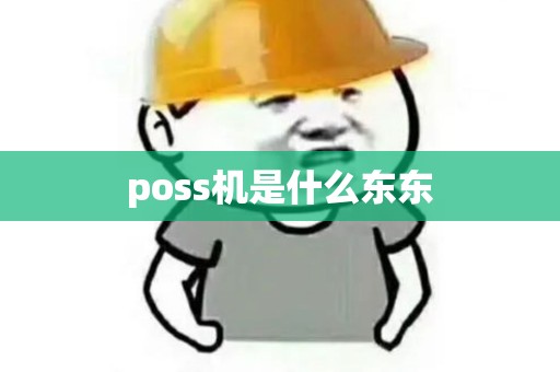 poss机是什么东东