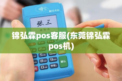 锦弘霖pos客服(东莞锦弘霖pos机)