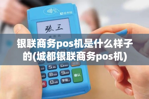 银联商务pos机是什么样子的(城都银联商务pos机)