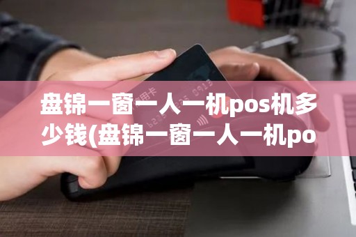 盘锦一窗一人一机pos机多少钱(盘锦一窗一人一机pos机)