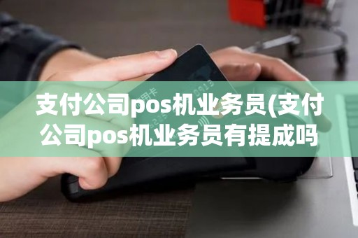 支付公司pos机业务员(支付公司pos机业务员有提成吗)