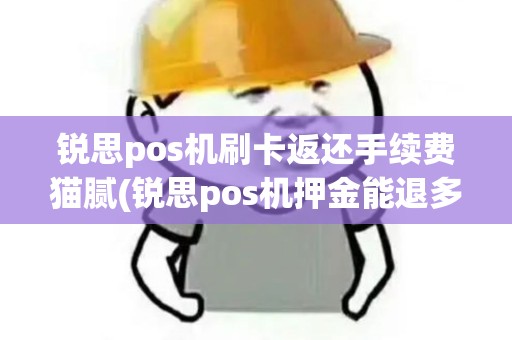 锐思pos机刷卡返还手续费猫腻(锐思pos机押金能退多少)