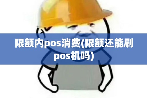 限额内pos消费(限额还能刷pos机吗)