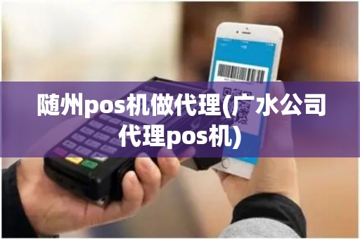 随州pos机做代理(广水公司代理pos机) 随州pos机做代理(广水公司代理pos机)