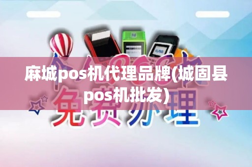 麻城pos机代理品牌(城固县pos机批发)