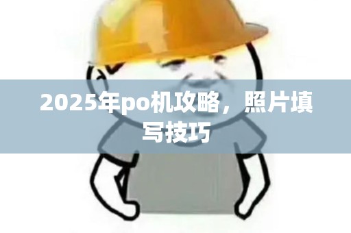 2025年po机攻略，照片填写技巧
