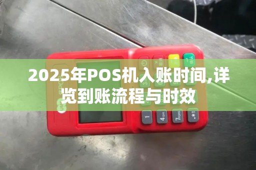 2025年POS机入账时间,详览到账流程与时效
