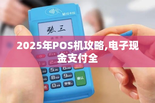 2025年POS机攻略,电子现金支付全