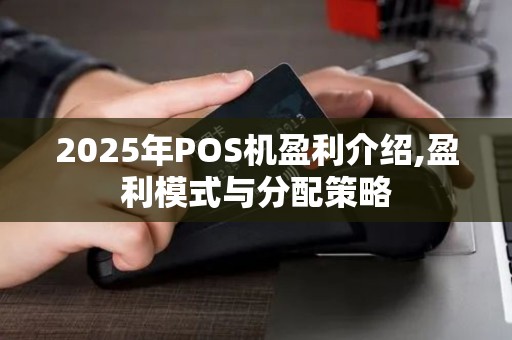 2025年POS机盈利介绍,盈利模式与分配策略