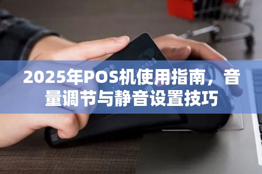 2025年POS机使用指南，音量调节与静音设置技巧
