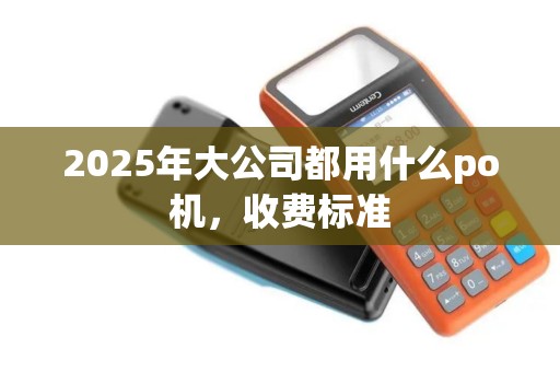 2025年大公司都用什么po机，收费标准