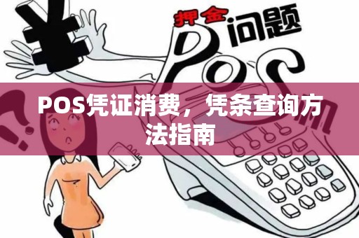 POS凭证消费，凭条查询方法指南