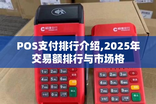 POS支付排行介绍,2025年交易额排行与市场格